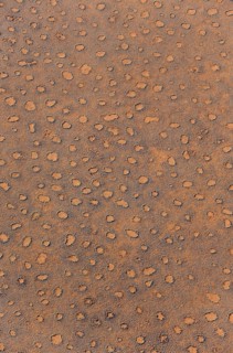 Aerial view from a hot-air balloon at the edge of the Namib Desert