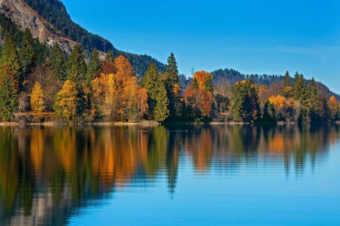 Colorful autumn landscape
