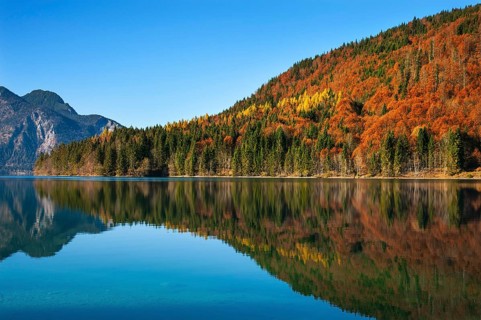 Autumn landscape