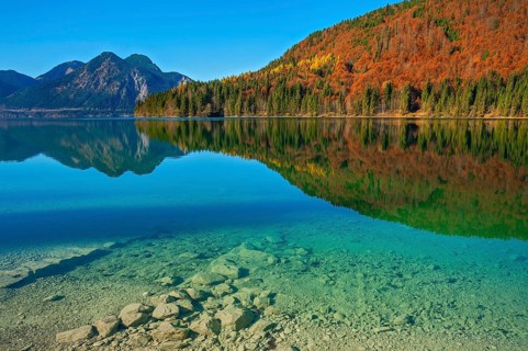 Autumn landscape