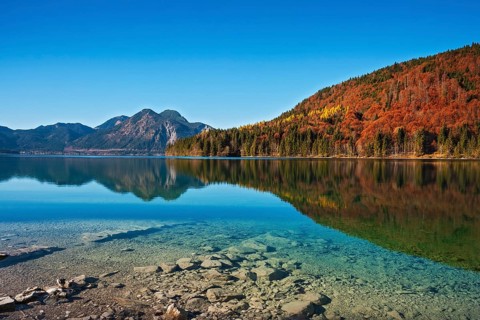 Autumn landscape