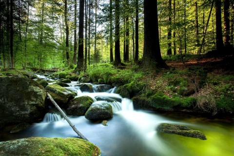 Stream