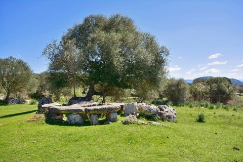 Rock cut tombs Domus de Janas