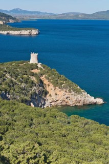Torre del Bollo tower