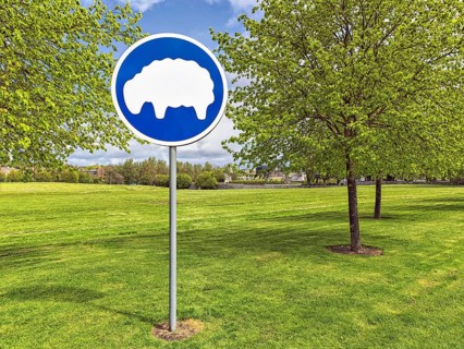 Grazing sheep sign on freshly mown meadow