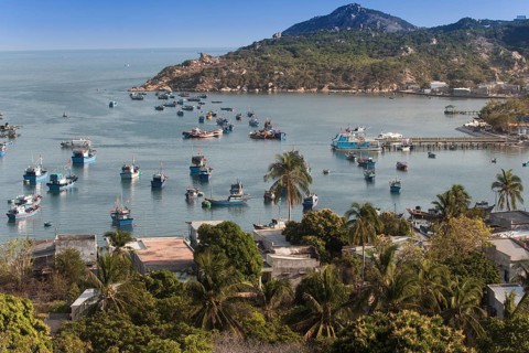 Colourful fishing boats in Vinh Hy bay