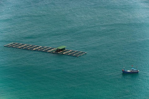 Fish farming