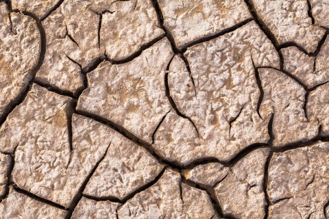 Cracked floodplain mud