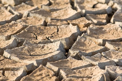 Cracked floodplain mud