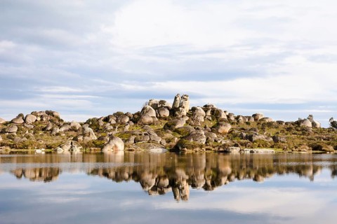 Granite rocks with White Stork (Ciconia ciconia) nests