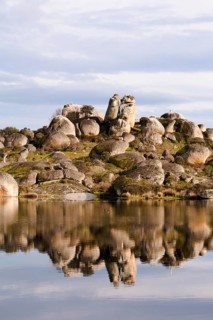 Granite rocks with White Stork (Ciconia ciconia) nests