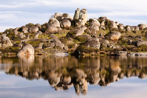 Granite rocks with White Stork (Ciconia ciconia) nests