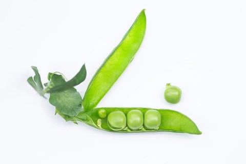Fresh green peas (Pisum sativum)