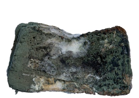 Moldy sliced bread
