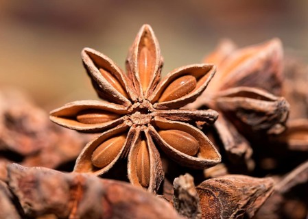 Star anise (Illicium verum)