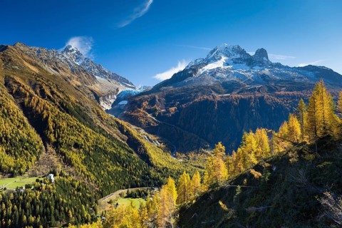 Argentiere Glacier in Mont Blanc Massif with autumnal larch forest