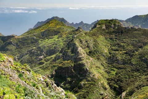 View of laurel forests and the the gorge of Chamorga