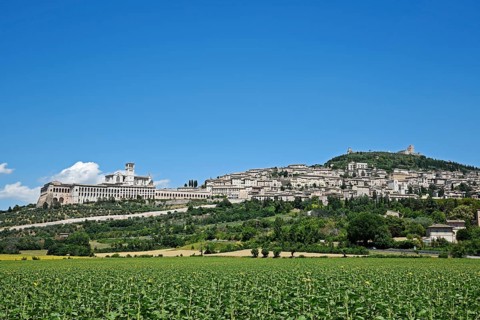 Cityscape with the Basilica of San Francesco