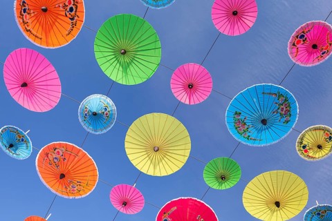 Colourful umbrellas suspended in the air at the umbrella festival in Bo Sang near Chiang Mai