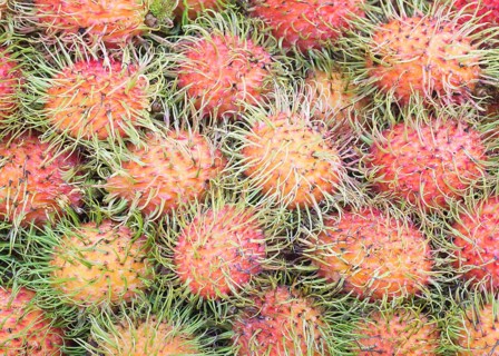 Rambutans (Nephelium lappaceum)