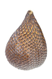 Salak or snake skin fruit