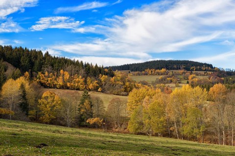 Autumn in the Sumava National Park