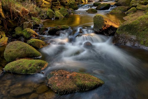 River Vydra