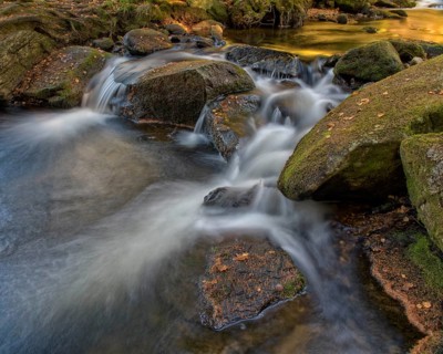 River Vydra