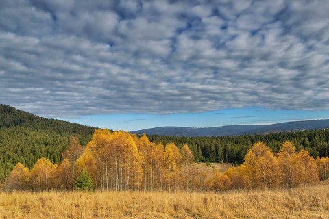 Autumn in the Sumava National Park