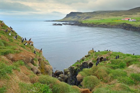 Bird sanctuary