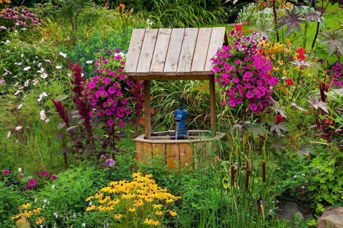 Overgrown garden with flowers and wishing well