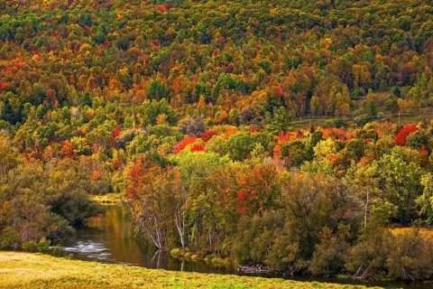 Early autumn