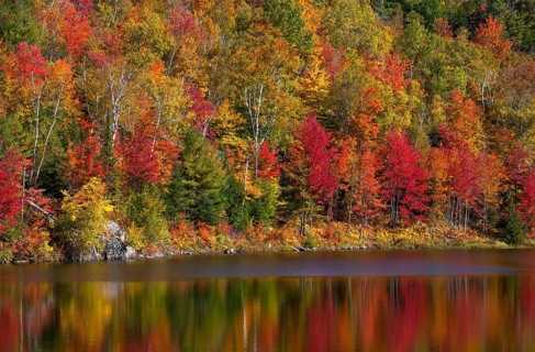 Small pond