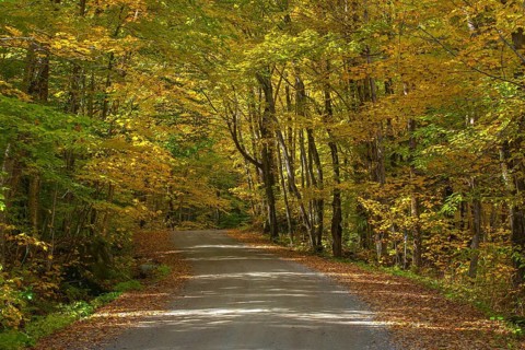 Dirt road