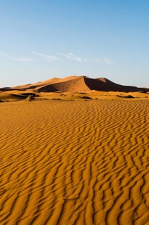 Sand dunes in morning light