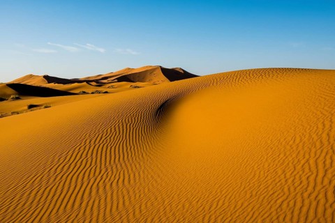 Sand dunes in morning light