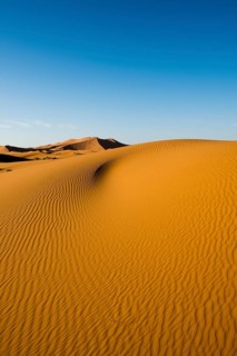 Sand dunes in morning light