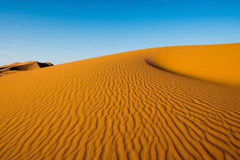 Sand dunes in morning light
