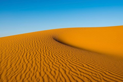 Sand dunes in morning light
