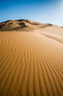 Highest dune in Morocco