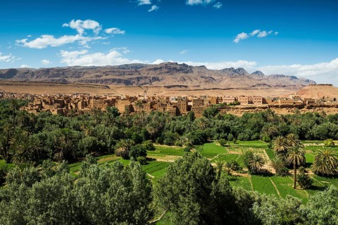 Oasis with traditional adobe houses and date palms