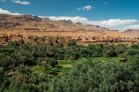 Oasis with traditional adobe houses and date palms