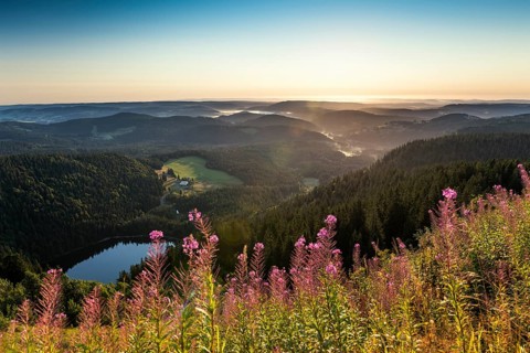 View east towards Feldsee from Feldberg
