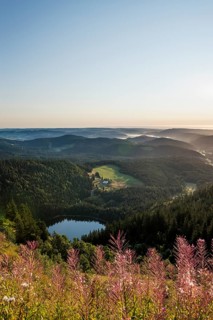 View east towards Feldsee from Feldberg