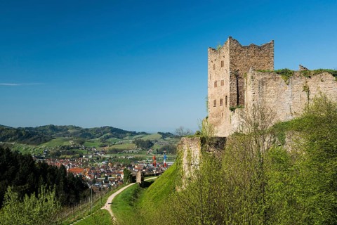 Ruine Neu-Schauenburg castle ruins