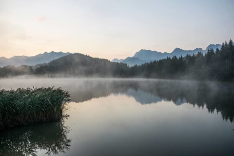 Morning mist
