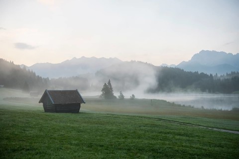 Morning mist