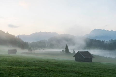 Morning mist