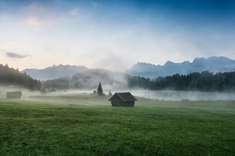 Morning mist