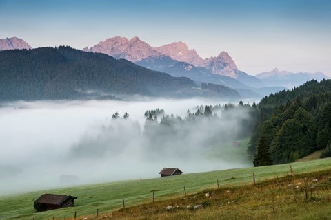 Morning mist